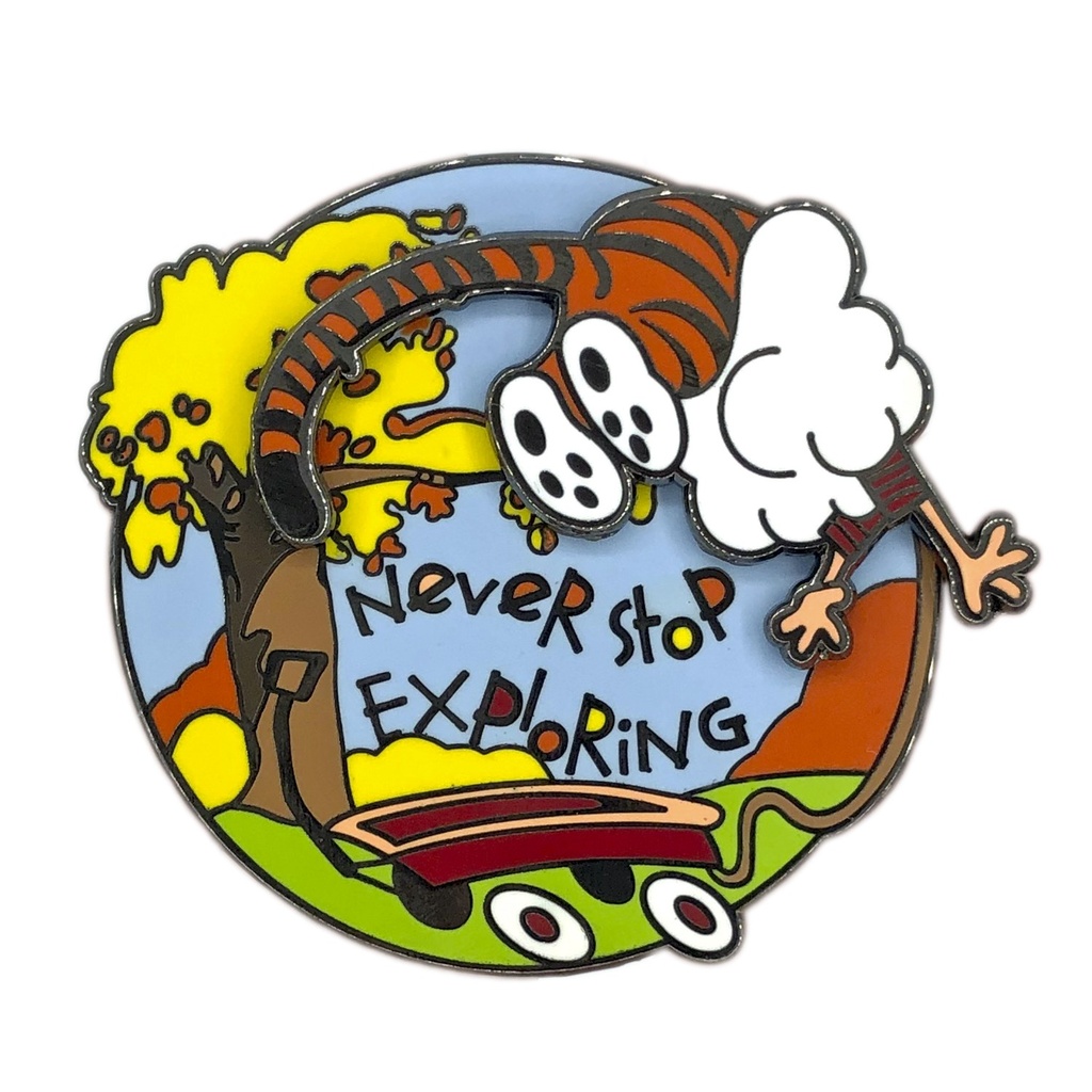 Pin interactivo Never stop exploring