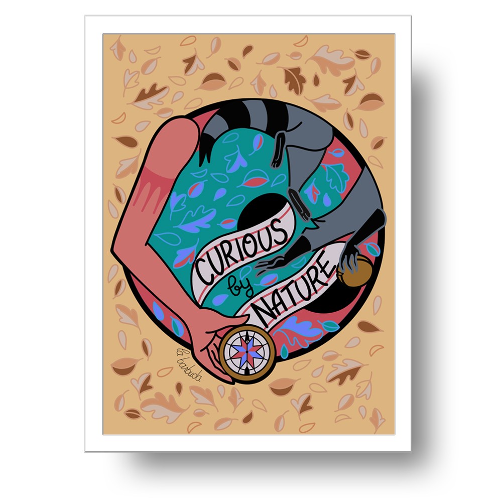 Lámina mapache Curious by nature