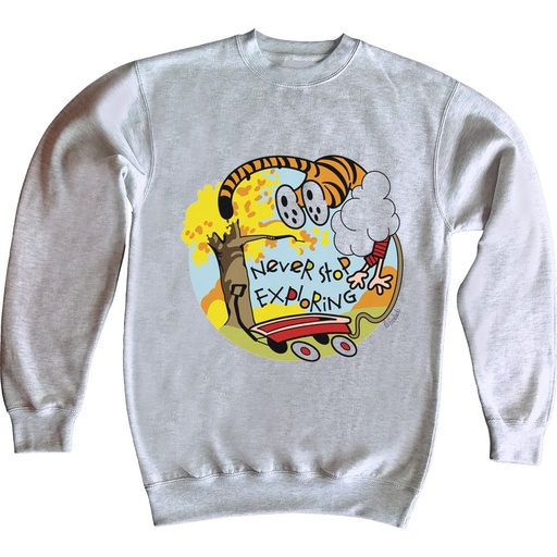 Sudadera Never Stop exploring