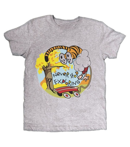 Camiseta Gris Never stop exploring