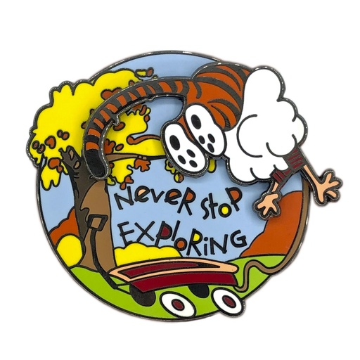 Pin interactivo Never stop exploring
