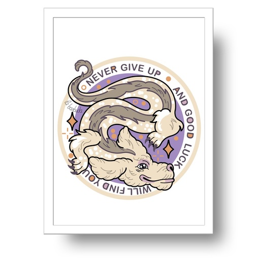 Fujur Falkor Interminable Dragon suerte Lámina