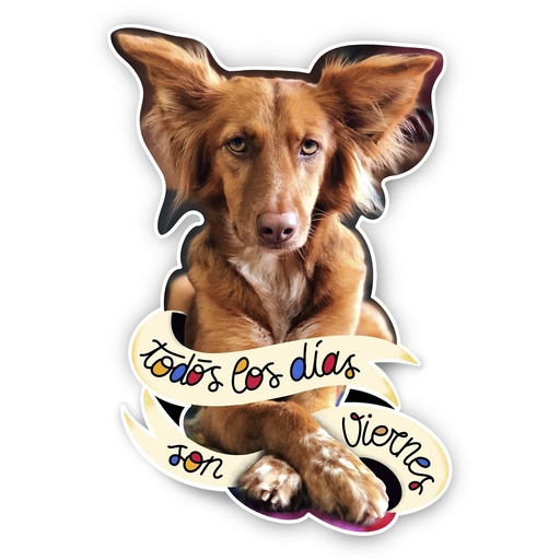 Todos los días son Viernes pegatina vinilada edición limitada